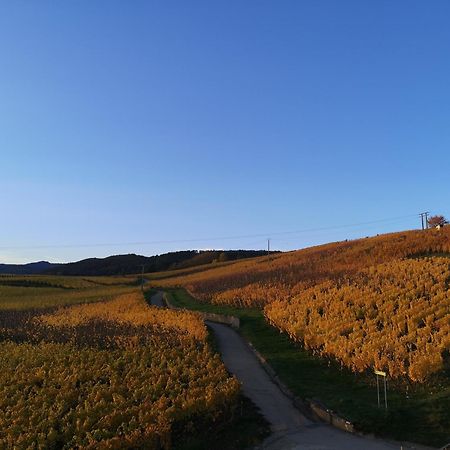 Апартаменти Cocon De Caractere Au Coeur Des Vignes Alsaciennes Берґайм Екстер'єр фото