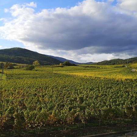 Апартаменти Cocon De Caractere Au Coeur Des Vignes Alsaciennes Берґайм Екстер'єр фото