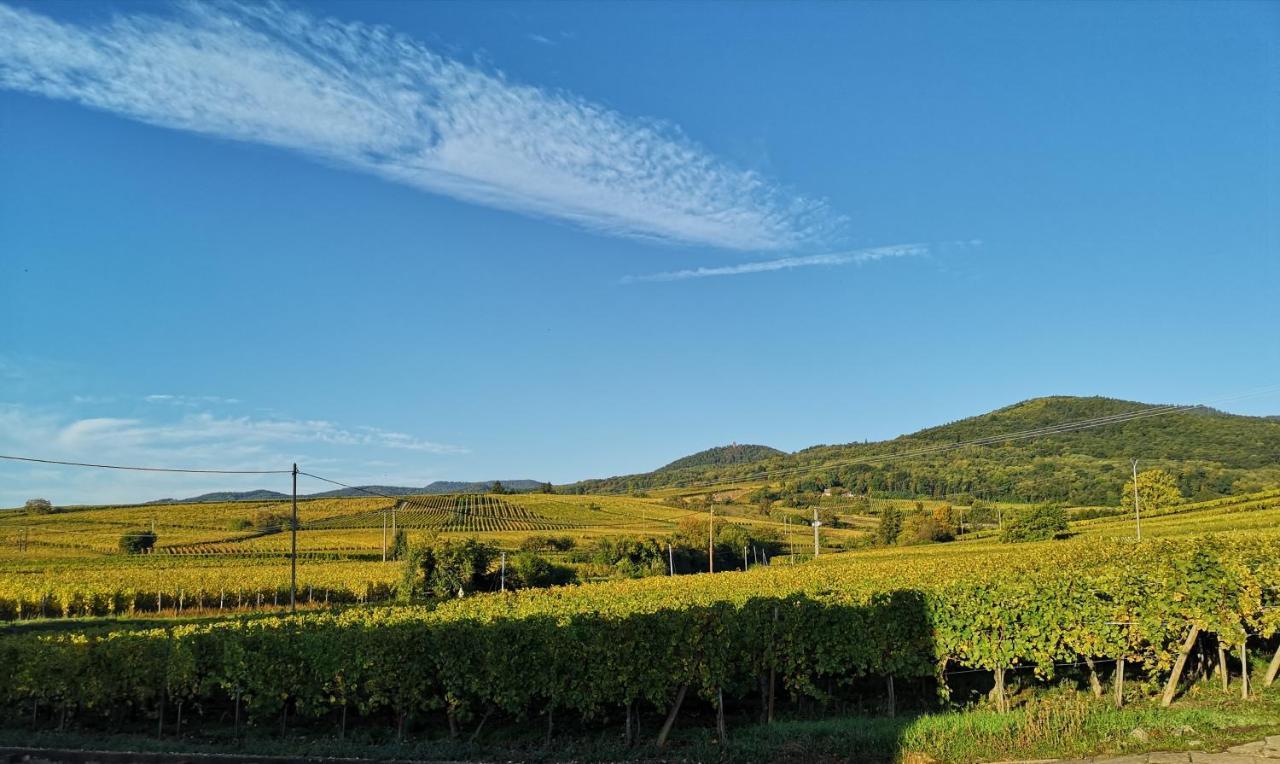 Апартаменти Cocon De Caractere Au Coeur Des Vignes Alsaciennes Берґайм Екстер'єр фото
