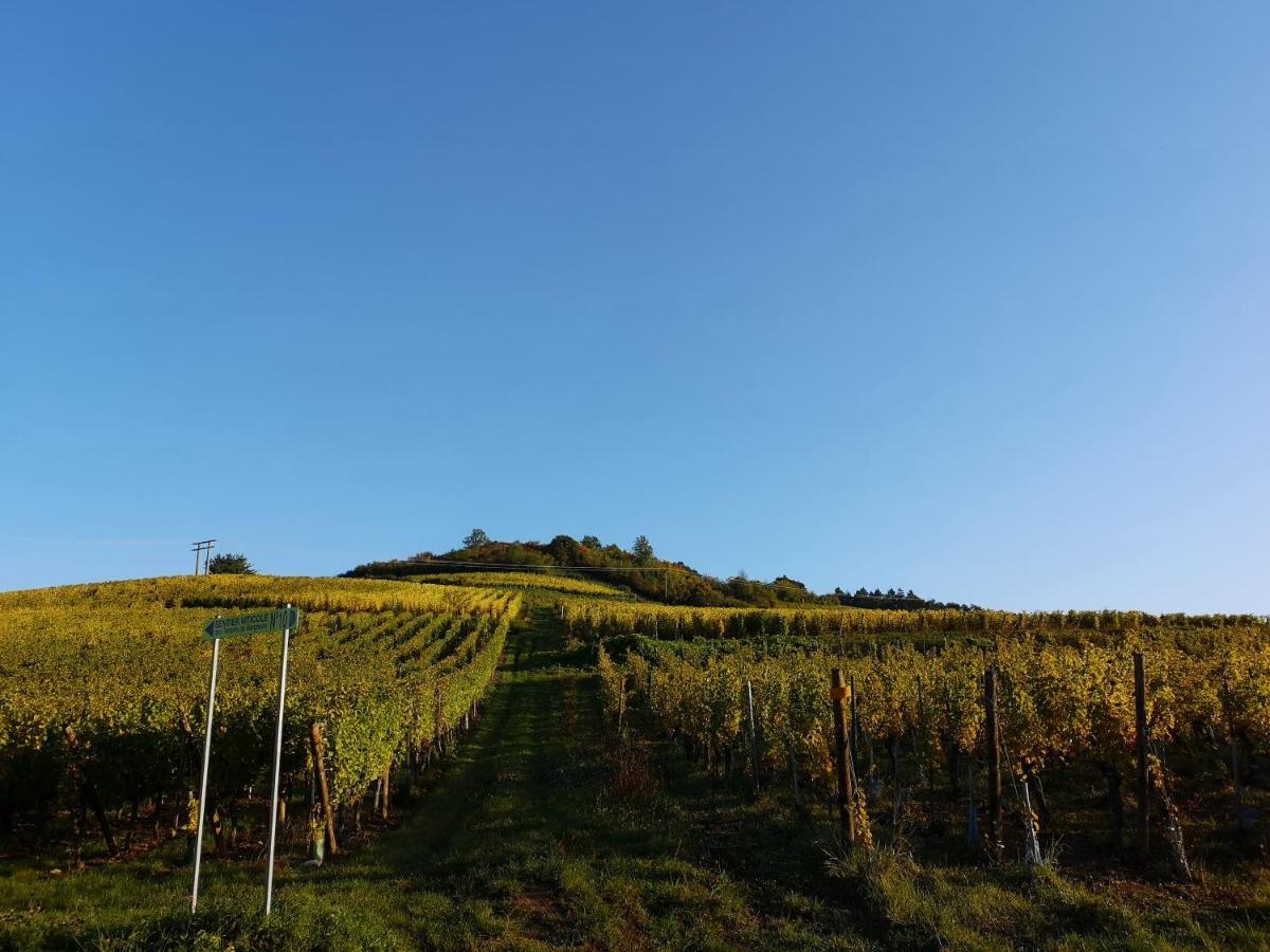 Апартаменти Cocon De Caractere Au Coeur Des Vignes Alsaciennes Берґайм Екстер'єр фото