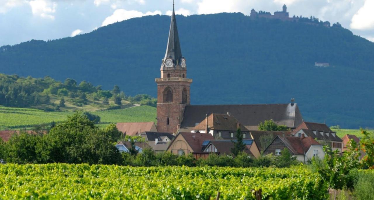 Апартаменти Cocon De Caractere Au Coeur Des Vignes Alsaciennes Берґайм Екстер'єр фото