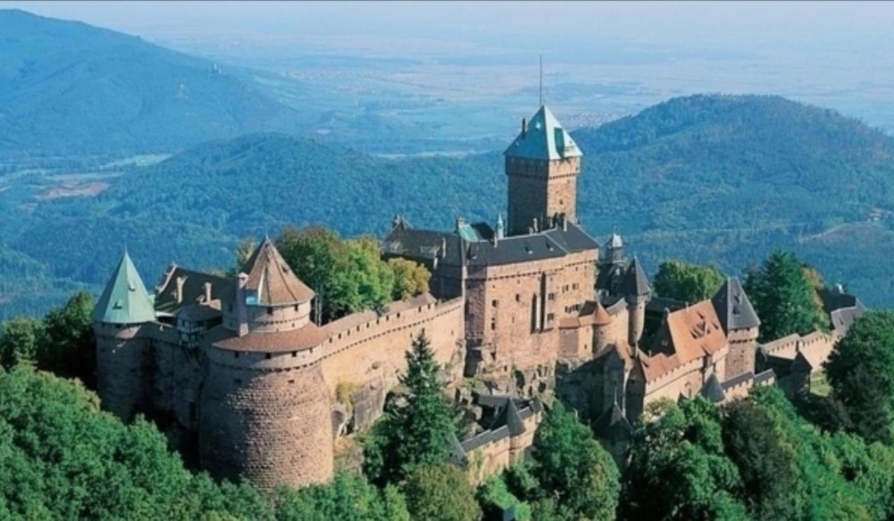 Апартаменти Cocon De Caractere Au Coeur Des Vignes Alsaciennes Берґайм Екстер'єр фото